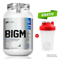 BIGM CONSTRUCTOR MUSCULAR 2KG